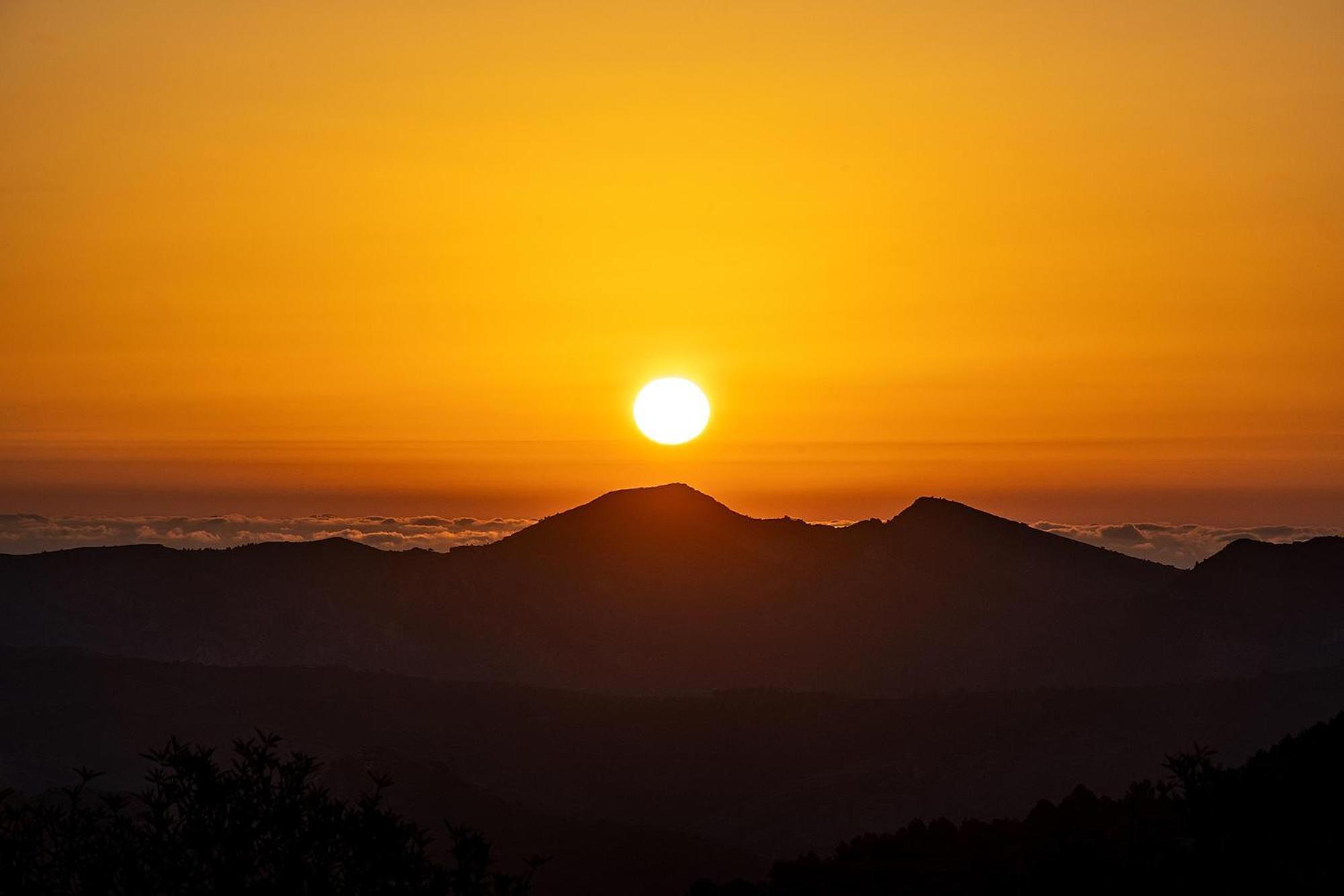 Hotel Alahuar เบนิเมาเรล ภายนอก รูปภาพ
